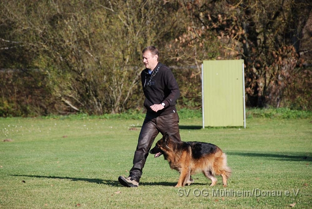 SVOGM 18.10.2008 (117).JPG