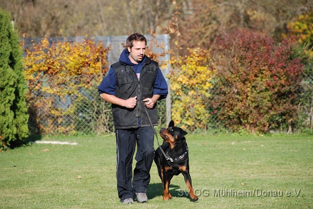 SVOGM 18.10.2008 (125).JPG