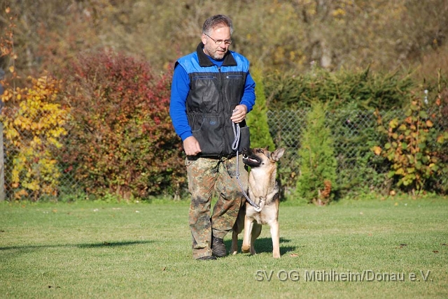 SVOGM 18.10.2008 (188).JPG