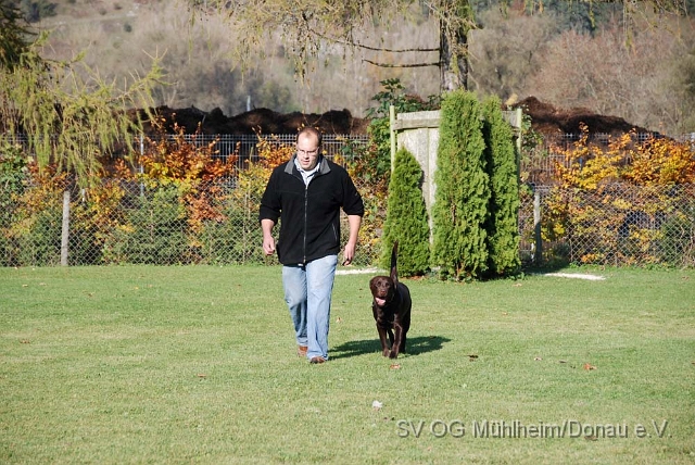 SVOGM 18.10.2008 (63).JPG