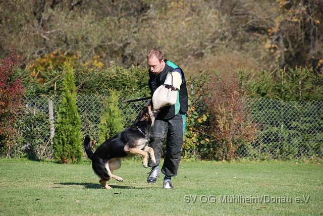 SVOGM 19.10.2008 (228).JPG