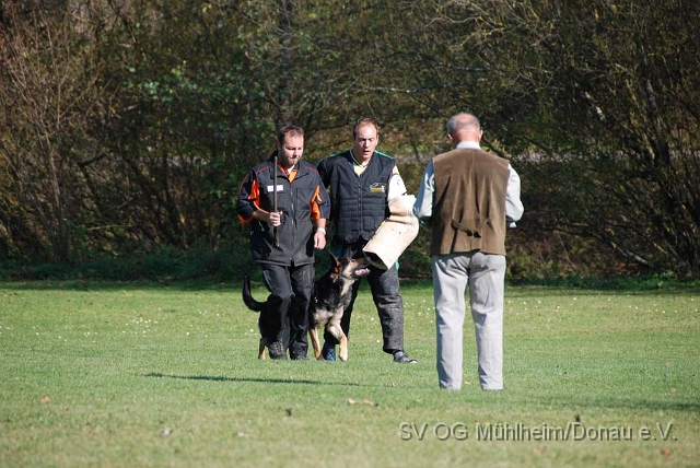 SVOGM 19.10.2008 (241).JPG
