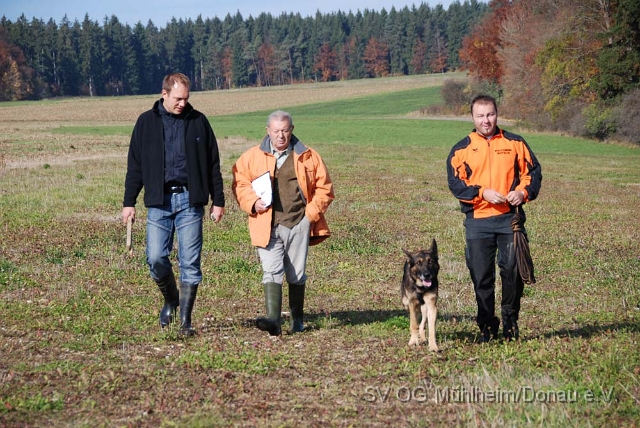 SVOGM 19.10.2008 (65).JPG