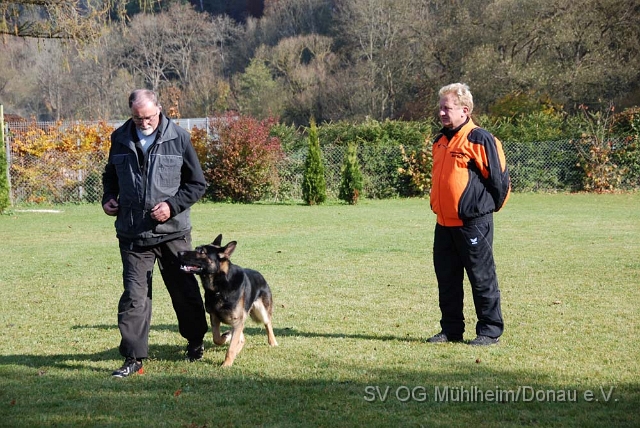 SVOGM 19.10.2008 (71).JPG