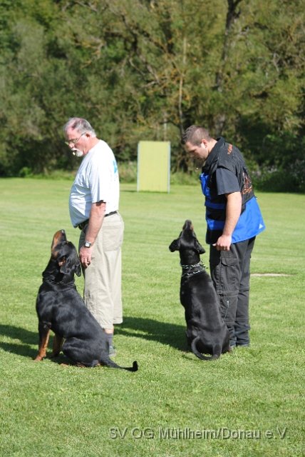 Mühlheim 11.09.2010 Hundetraining 005.JPG