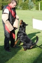 Mühlheim 11.09.2010 Hundetraining 399