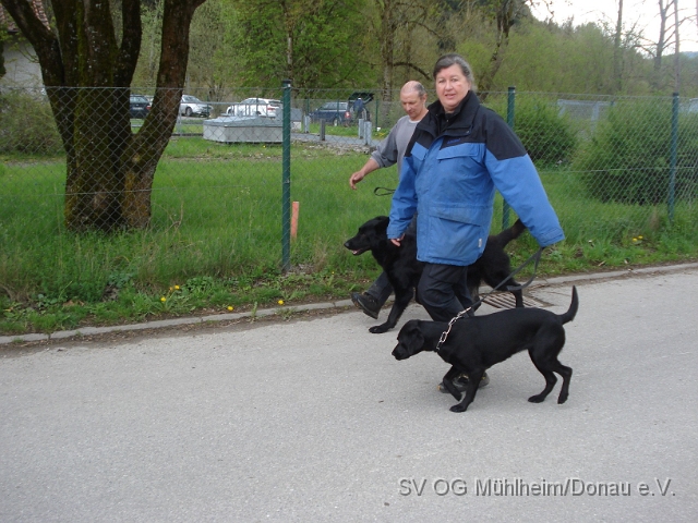 Prüfung Mühlheim (71).JPG