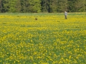 Prüfung Mühlheim (28)