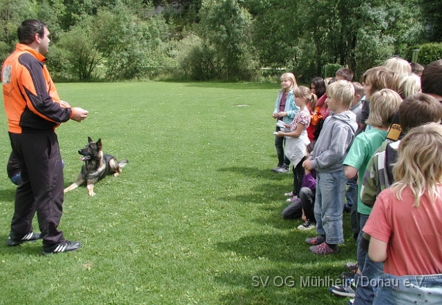 Hunde012.jpg