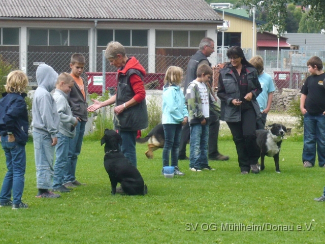Hunde323.jpg
