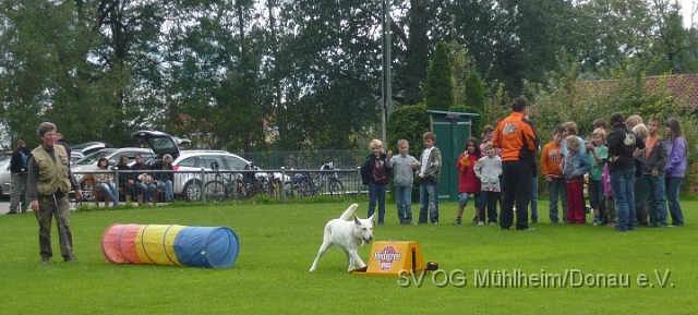 Hunde328.jpg