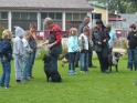 Hunde323