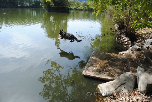 Fischteich.016.jpg