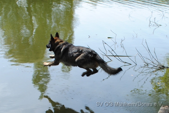 Fischteich.027.jpg