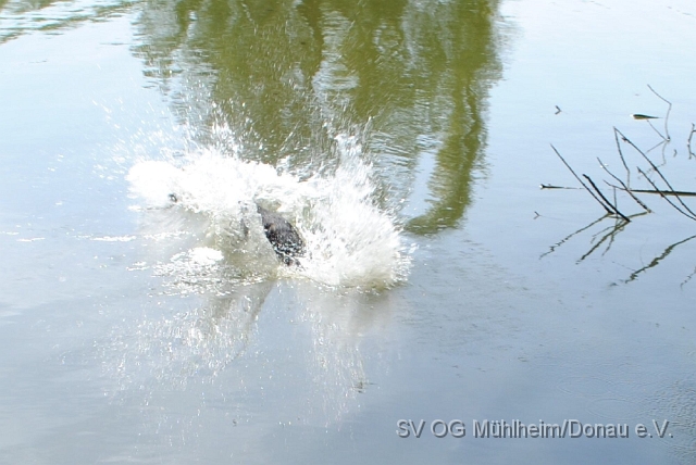 Fischteich.028.jpg