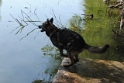 Fischteich.026