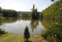 Fischteich.035