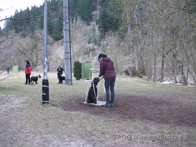 DSCF0621 - Kopie.JPG