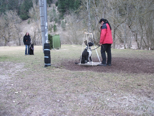 DSCF0622 - Kopie.JPG
