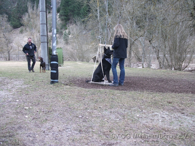 DSCF0626 - Kopie.JPG