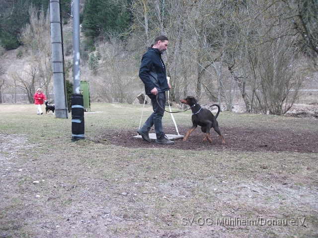 DSCF0628 - Kopie.JPG