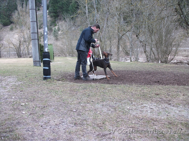 DSCF0629 - Kopie.JPG