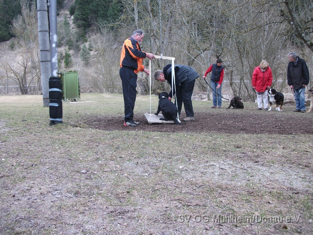 DSCF0646 - Kopie.JPG