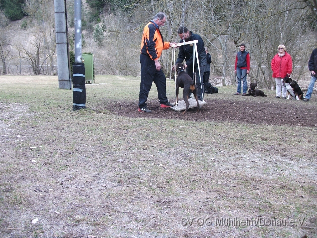 DSCF0650 - Kopie.JPG