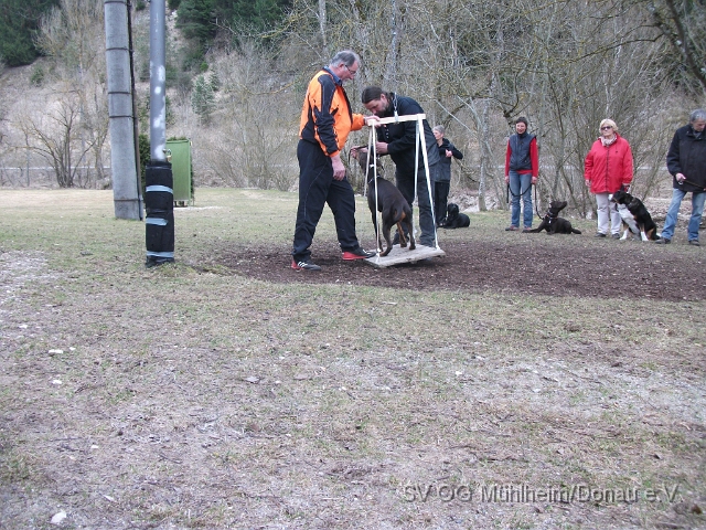 DSCF0651 - Kopie.JPG