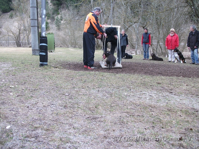DSCF0655 - Kopie.JPG