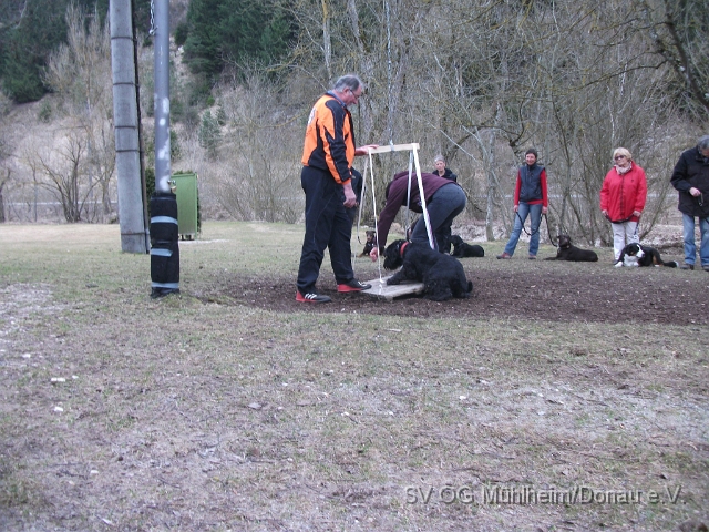 DSCF0662 - Kopie.JPG