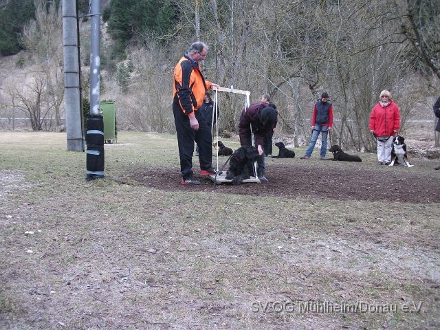 DSCF0667 - Kopie.JPG