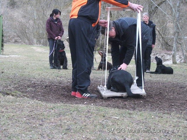 DSCF0669 - Kopie.JPG
