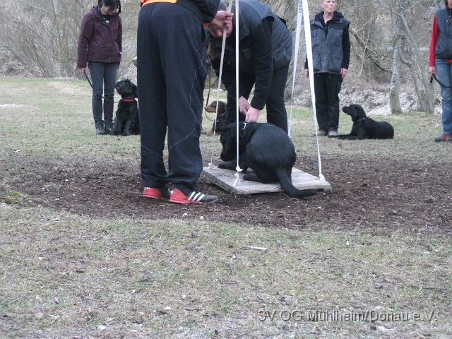 DSCF0672 - Kopie.JPG