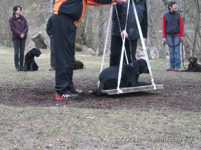 DSCF0674 - Kopie.JPG