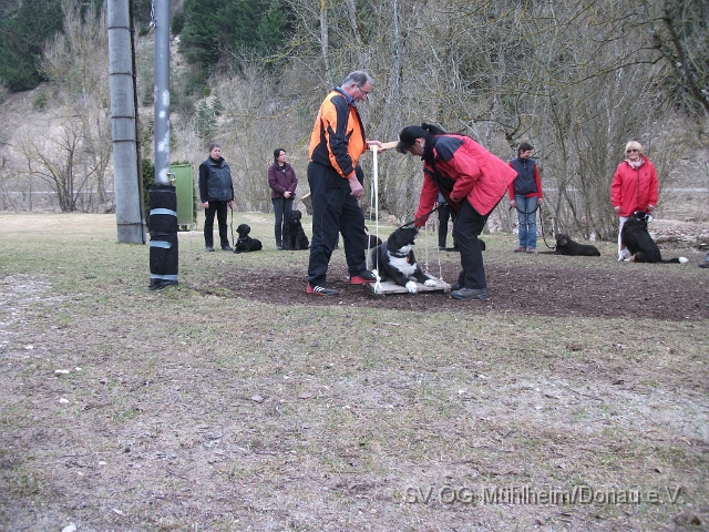 DSCF0677 - Kopie.JPG