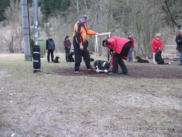 DSCF0679 - Kopie.JPG