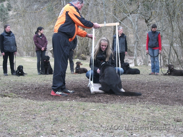 DSCF0682 - Kopie.JPG