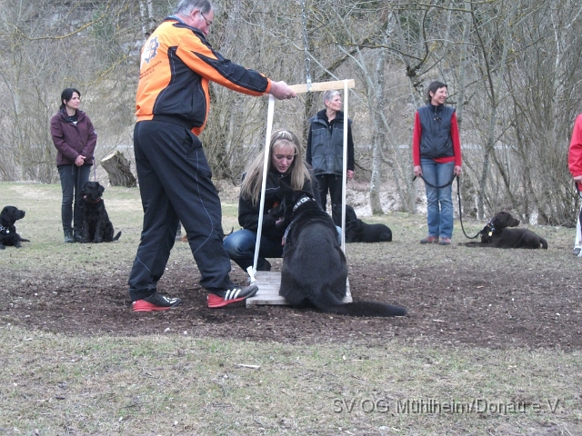 DSCF0683 - Kopie.JPG