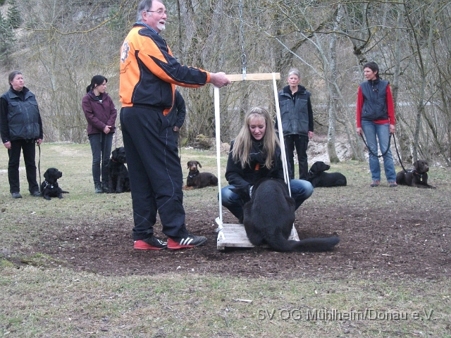 DSCF0687 - Kopie.JPG