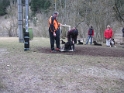 DSCF0667 - Kopie
