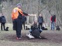 DSCF0686 - Kopie
