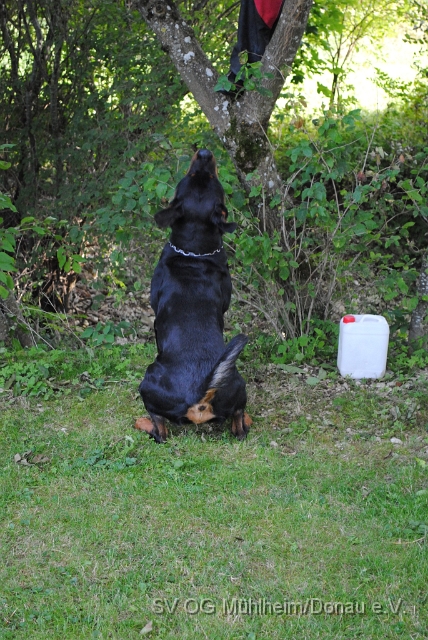 1 (305).JPG