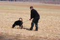 Fährtentraining 06.03.2011