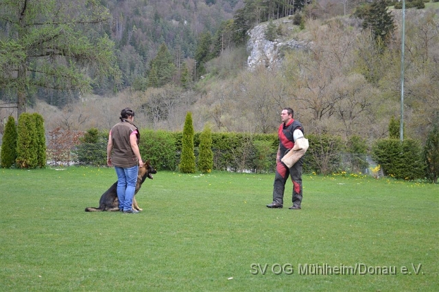 DSC 0307.JPG
