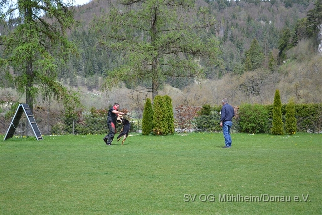 DSC 0317.JPG