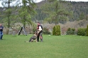 DSC 0321
