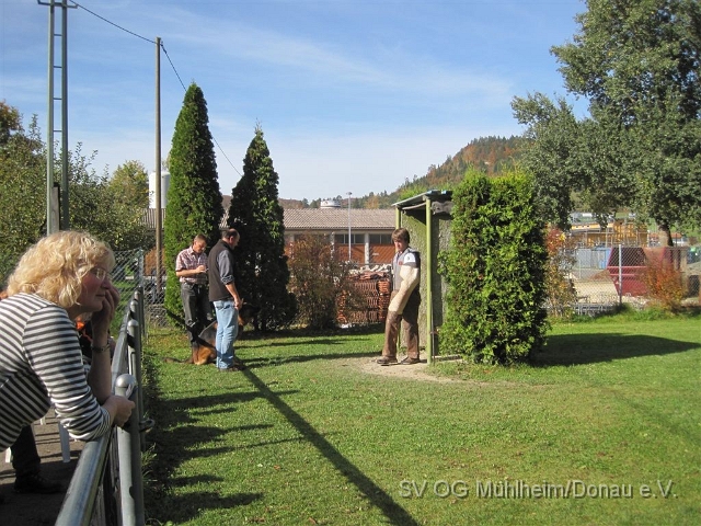 IMG 6986.JPG