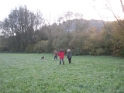 IMG 6917
