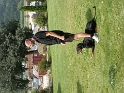 PICT0097